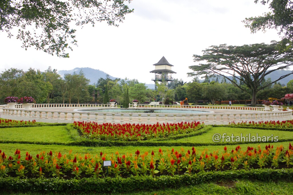 Keindahan hamparan bunga di Taman Bunga Nusantara 